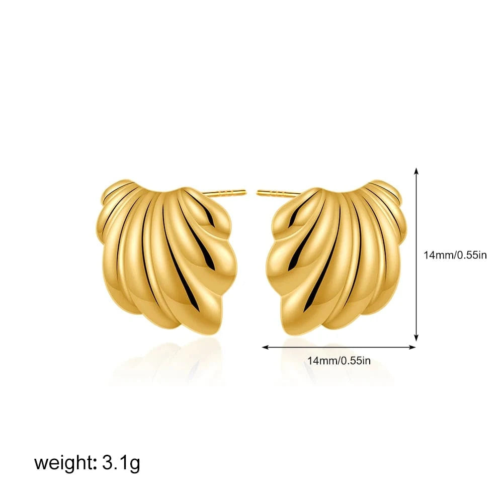 Boucle d&#39;Oreille Acier Inoxydable