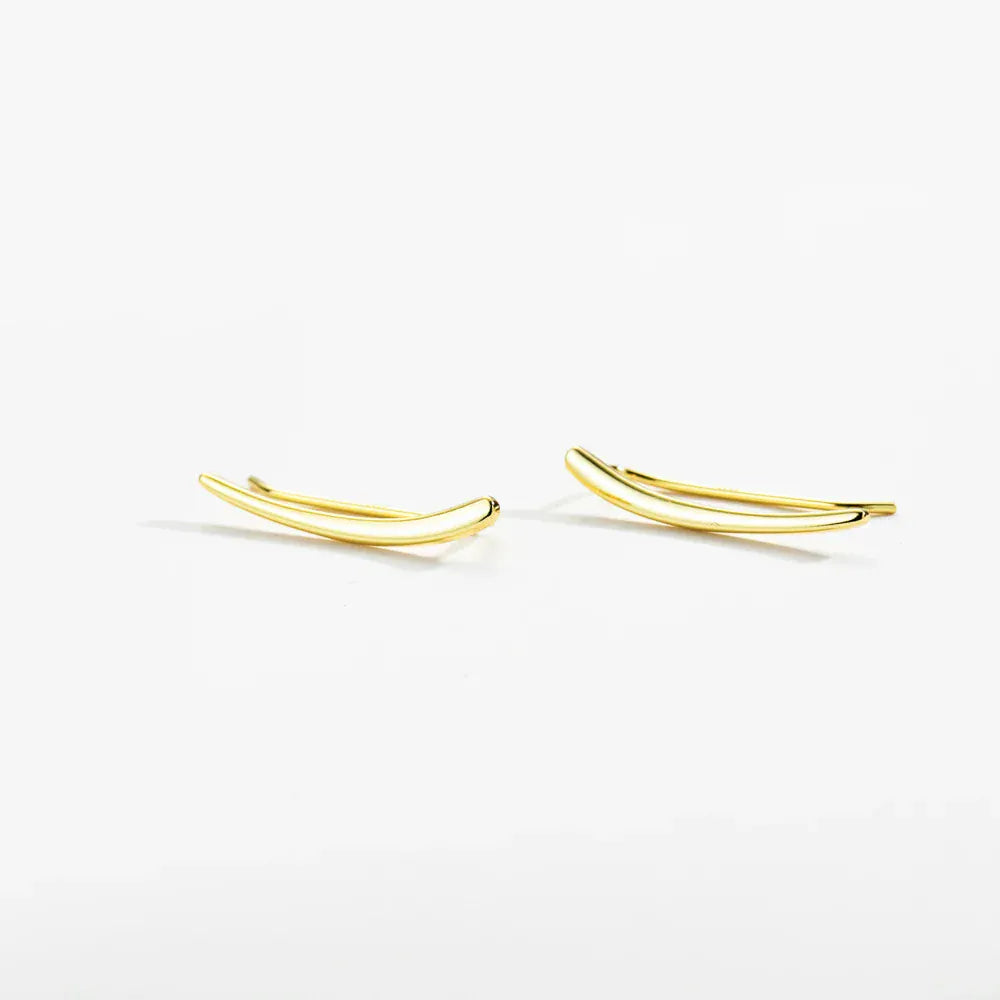 Boucle d&#39;Oreille en Argent Grimpante