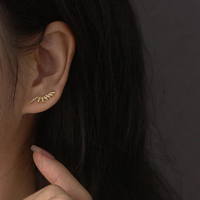 Boucle d&#39;Oreille Grimpante Aile