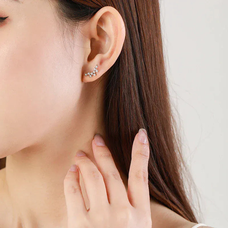 Boucle d'Oreille Grimpante Argent Sterling