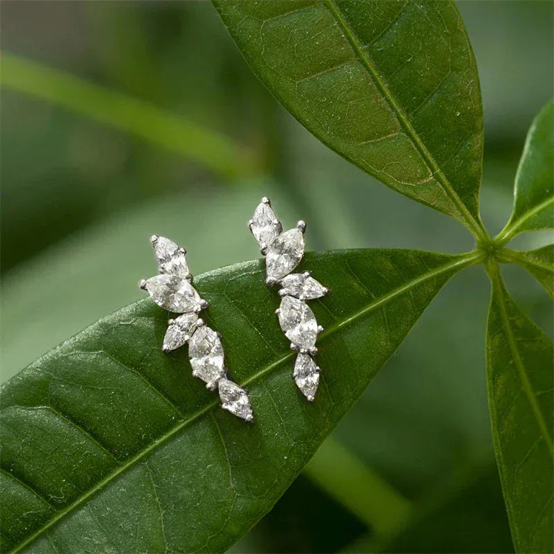 Boucles d'Oreille Grimpante