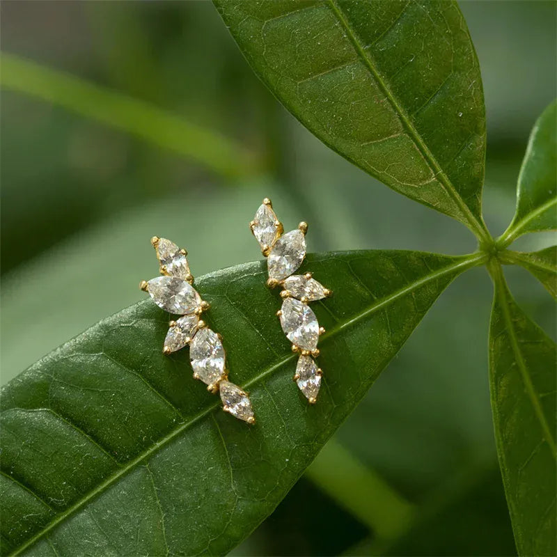 Boucles d'Oreille Grimpante