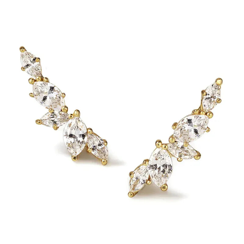 Boucles d'Oreille Grimpante