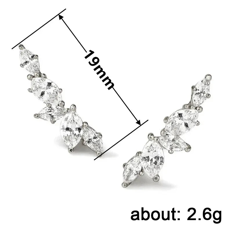 Boucles d'Oreille Grimpante