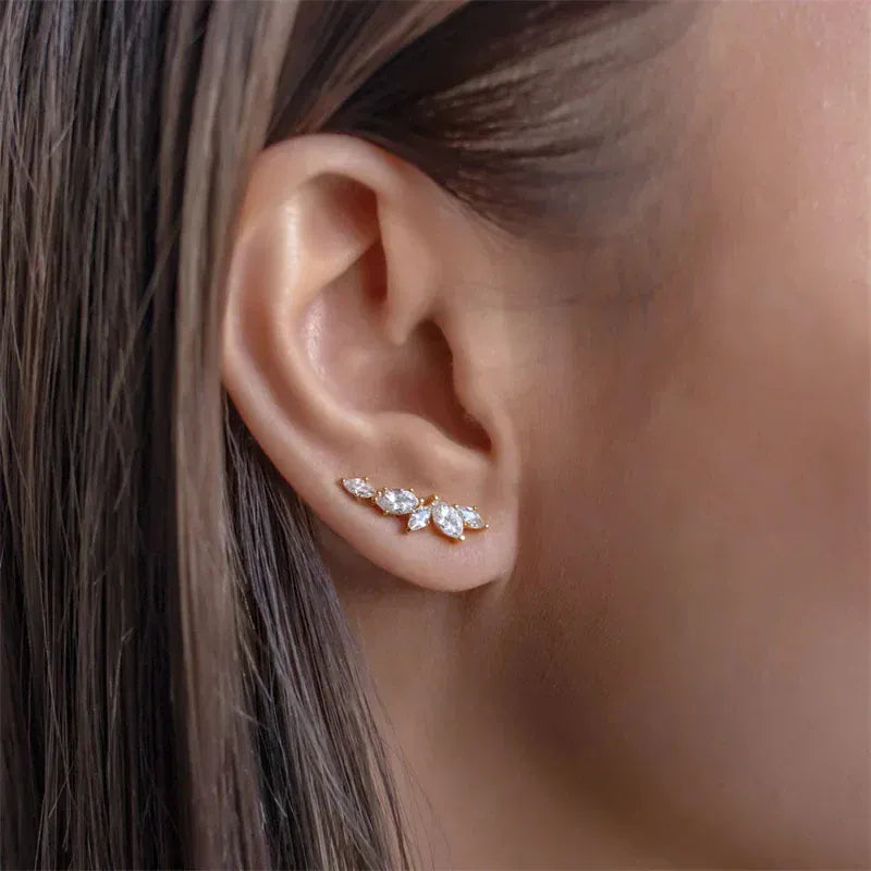 Boucles d'Oreille Grimpante