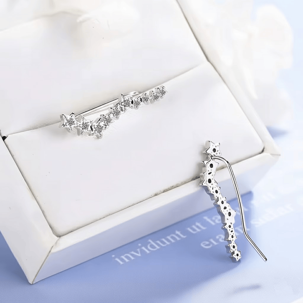 Boucles d'Oreille Grimpante Strass