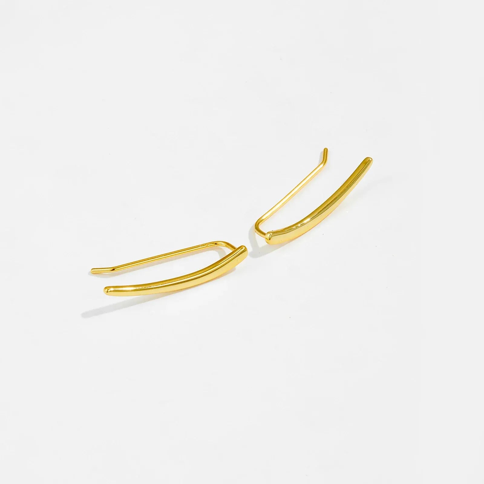 Boucles d&#39;Oreilles Grimpantes Argent