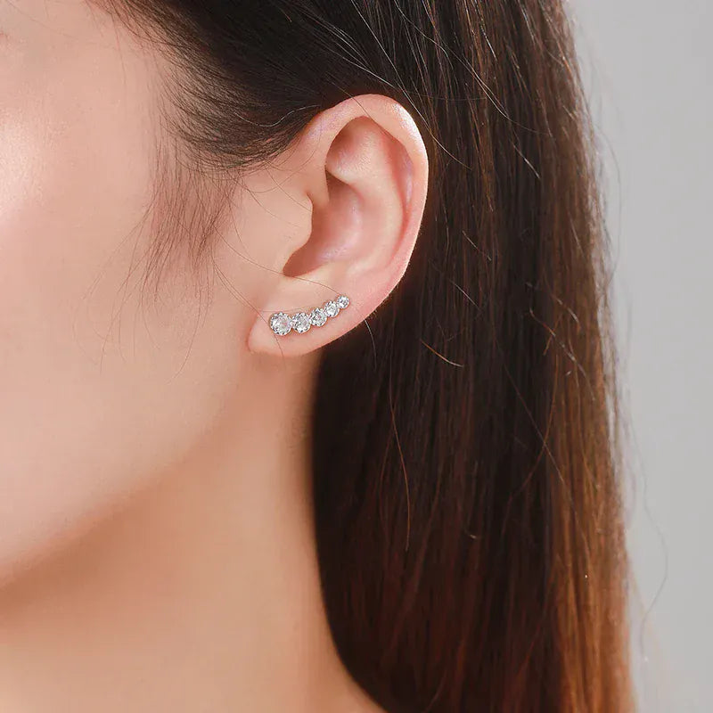 Boucles d'Oreilles Grimpantes en Argent