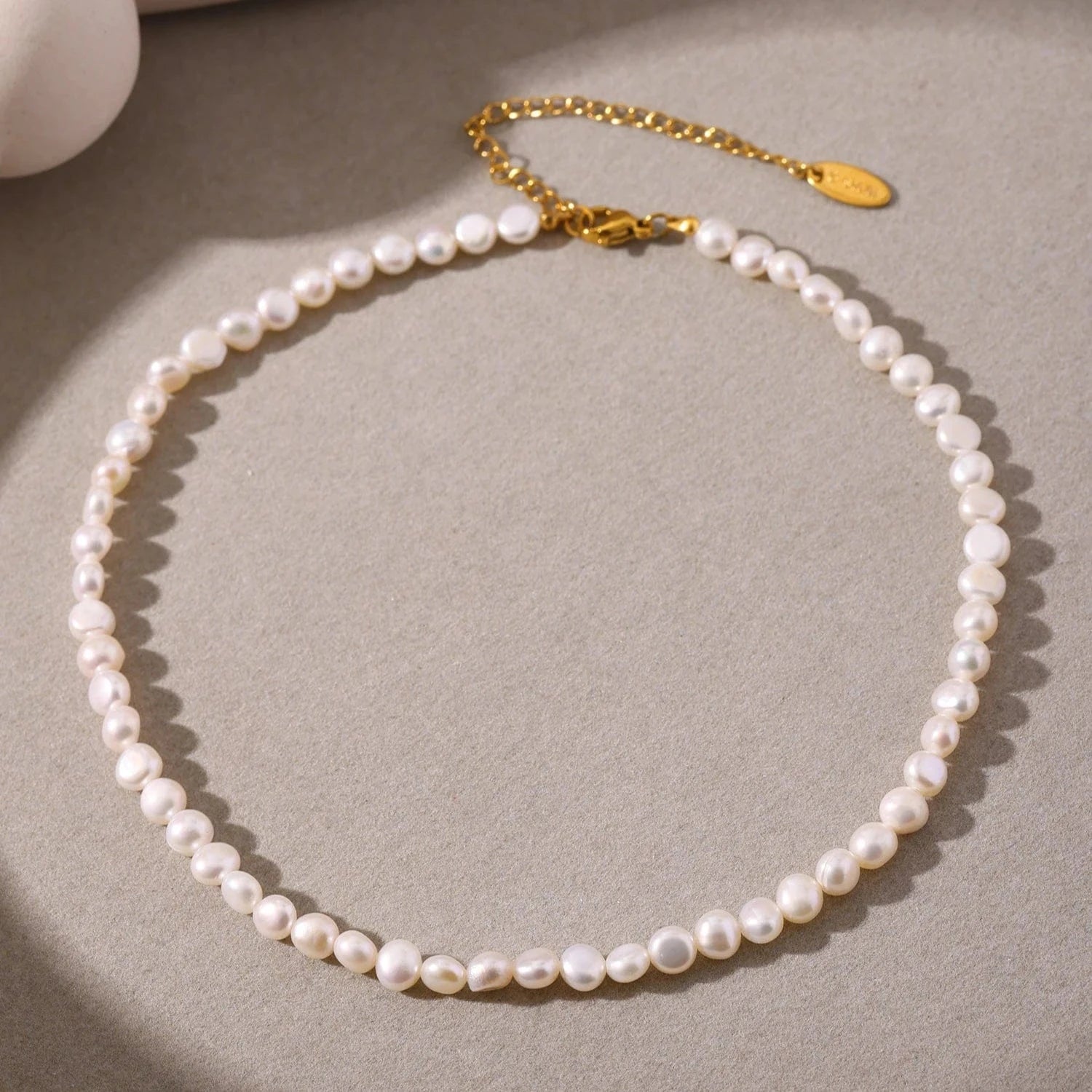 Collier Pampille Coquillage Or